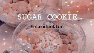 Download Sugar Cookie || Introduction Video MP3