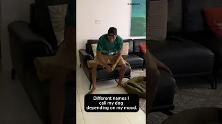 The Different Names I Call My Dog Dogs Puppy Doglover 