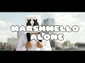 Marshmello x Nancy Ajram - Sah Sah (صح صح) (Official Music Video)