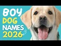 Male Dog Names BLOWING UP This Year Cute Trendy Unique