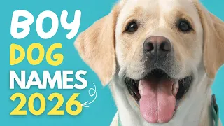 Male Dog Names BLOWING UP This Year Cute Trendy Unique