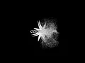Zero Cult  - Closer Than Ever [FULL ALBUM]