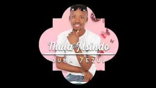 thula msindo theli nduku thula ft network sa 