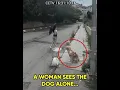 Owner Abandoned his Dog