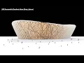 Parametric Stadium Shell Random Lines Grasshopper Tutorial