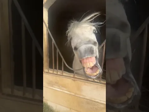 كيف التصرف الصحيح ؟!