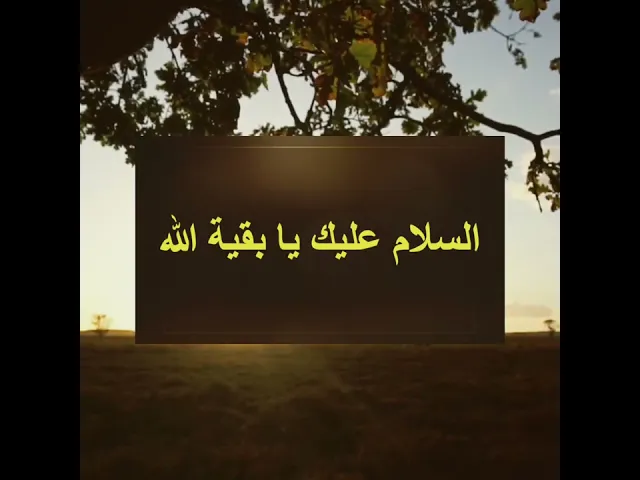 ⁣#shorts  السلام عليك يا حجة الله في ارضه    #العراق  #سيد_رياض_الفاضلي