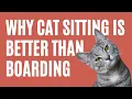 Is Cat Sitting Better Than Boarding - The Comforted Kitty