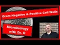 Gram Positive and Gram Negative Bacterial Cell Walls Microbiology