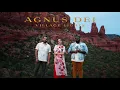 Agnus Dei | Village Lights (Official Audio Video)
