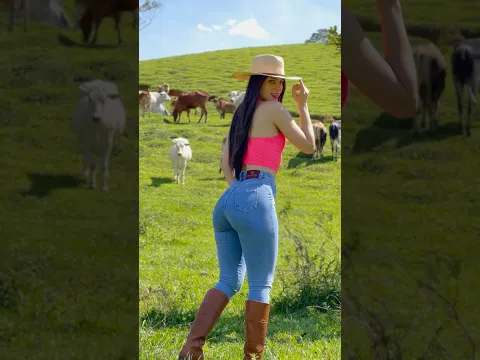 #shortsfeed #pecuarista #piadascurtas #cavalo #piadasrapidas #mercadoagricola #cowboys #shortsviral