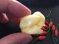 What s That Pepper Ep06 - White Devil s Tail