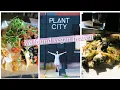 Plant City Providence Visit and Review All-Vegan Food Hall by Chef Matthew Kenney Vlog