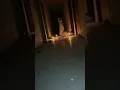 Download Lagu Penampakan pocong yang viral di tiktok saat uji nyali #hantu #pocong #astral #ujinyali