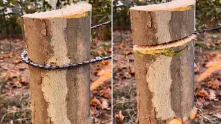 Pocket Chainsaw Demo 2021 Does It Work 