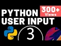 User Input in Python in Hindi Lecture 3 Python Tutorial Mayank Gupta