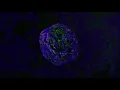 Born Dirty & Diplo - Samba Sujo (Official Full Stream)