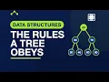 Binary Trees Invariants Data Structures in C 9 4