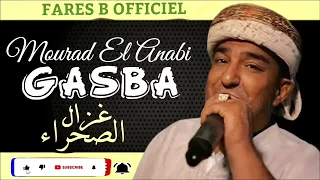 مراد العنابي غزال الصحراء قصبة عراسي 