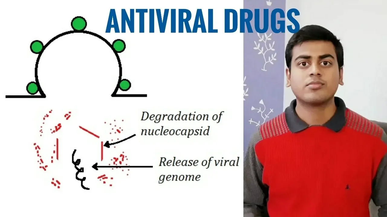 MECHANISM OF ACTION OF ANTIVIRAL DRUGS | MICROBIOLOGY