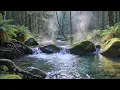 Forest Birds Singing by the River | Peaceful Outdoor Soundscape for Sleeand Calm Study Sessions