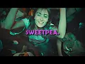 Download Lagu Lost Kitten [Sweetpea]