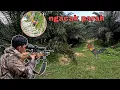 Lagu BERBURU 🎯 AYAM HUTAN KETIKA UNIT NGACAK PARAH DI PAKSA HUNTING 