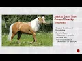 AQHA Transfer Report Guide