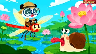 👑 THẾ GIỚI TÍ HON CỦA ỐC SÊN, CHUỒNG CHUỒNG - KHÁM PHÁ THẾ GIỚI CÔN TRÙNG - KN Channel