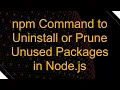 npm Command to Uninstall or Prune Unused Packages in Node js