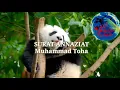 Download Lagu Surat Annaziat Muhammad Toha