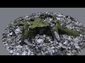 Meshroom - Tree Trunk Photogrammetry