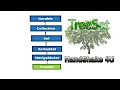 TreeSet Collection in