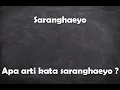 Lagu Apa arti kata saranghaeyo ?