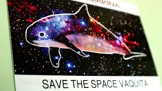 30. Sailorama: Adventurers and Sea Shepherds