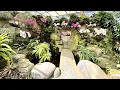 Download Lagu Орхидейный Рай (Bali Duta Orchid garden)