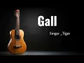 Punjabi New Song _ Gall | Tiger 