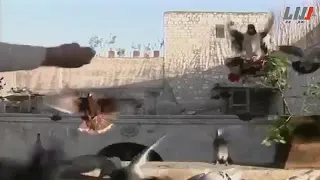 مسلسل باب الحديد الفنان بسام كوسا وتربية الحمام 