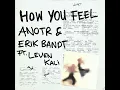 ANOTR & Erik Bandt ft. Leven Kali_How You Feel (Original Mix) #House