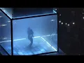 Kendrick Lamar PT 1 at The Schottenstein Center Columbus Ohio