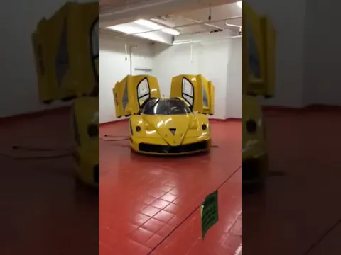 Saw this crazy Ferrari FXX at The Swap Shops in Florida. It was crazy loud!