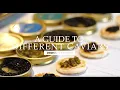 A Guide to Different Types of Premium Caviars Drogo s Kitchen Fine Food Specialist