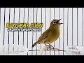 Download Lagu Pleci Di Rumah Bakal Bongkar Isian Dalam Hitungan Menit