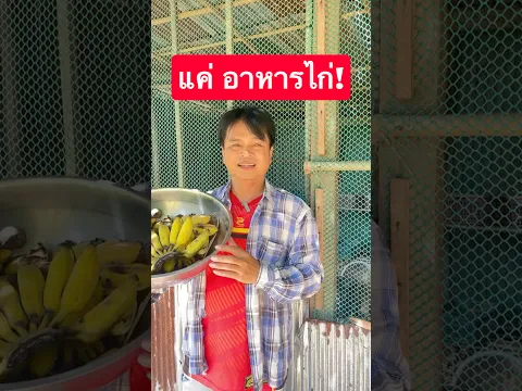 เป็นได้แค่ อาหารไก่! #เกษตรกรชาวบ้าน #วิถีชาวบ้าน #banana