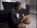 Training my toy poodle basic commands Belle