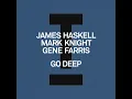 James Haskell, Mark Knight, Gene Farris - Go Deep (Extended Mix)