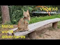 Download Lagu Nala exploring Ahja River Valley 😻 Vlog #168