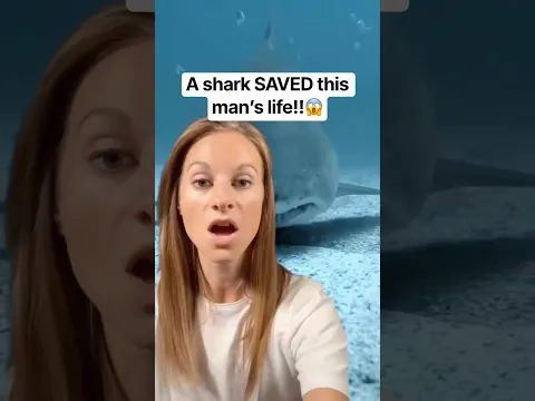 A shark SAVED his life! 😱🦈