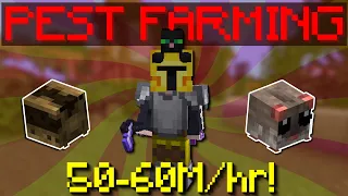 PEST FARMING GUIDE Hypixel Skyblock 2026