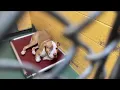 Local nonprofit helping provide free microchipping for lost and found pets